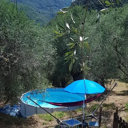 Appartamento Casarovear Paradise In Olive Yard !