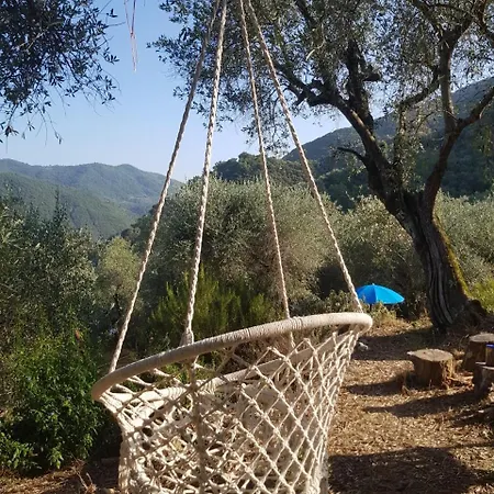 Appartamento Casarovear Paradise In Olive Yard ! Casa Veragne
