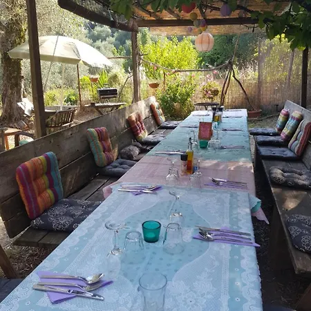 Casarovear Paradise In Olive Yard ! * Casa Veragne