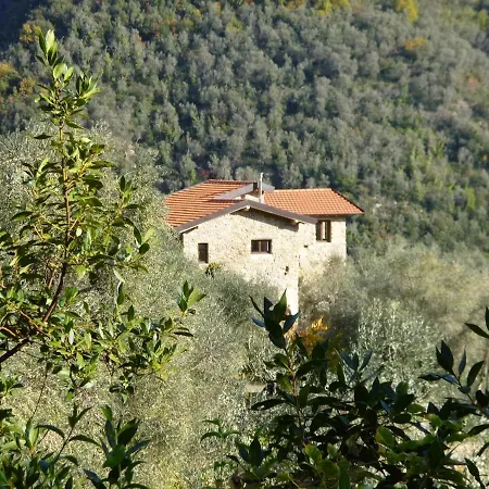 Casarovear Paradise In Olive Yard ! *
