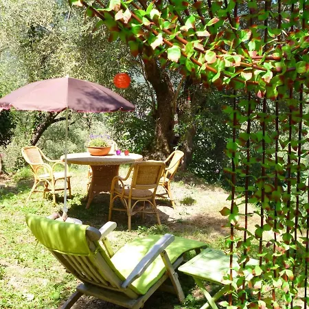 Casarovear Paradise In Olive Yard !